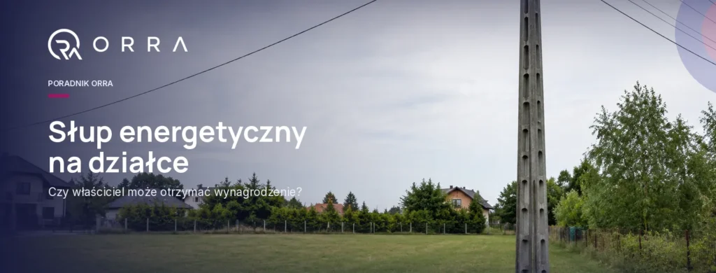 Słup i linia energetyczna przebiegające przez prywatną działkę